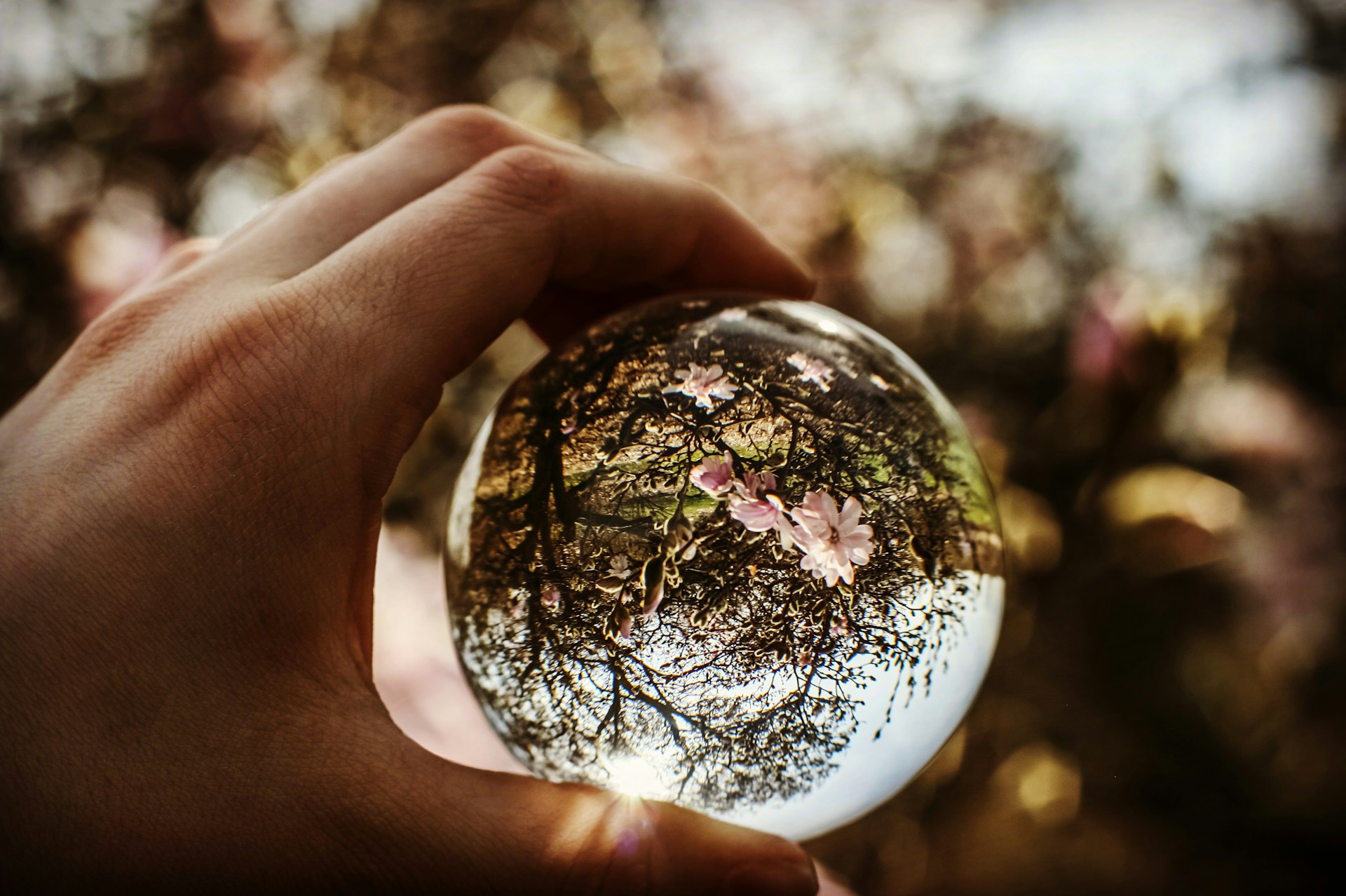glass ball